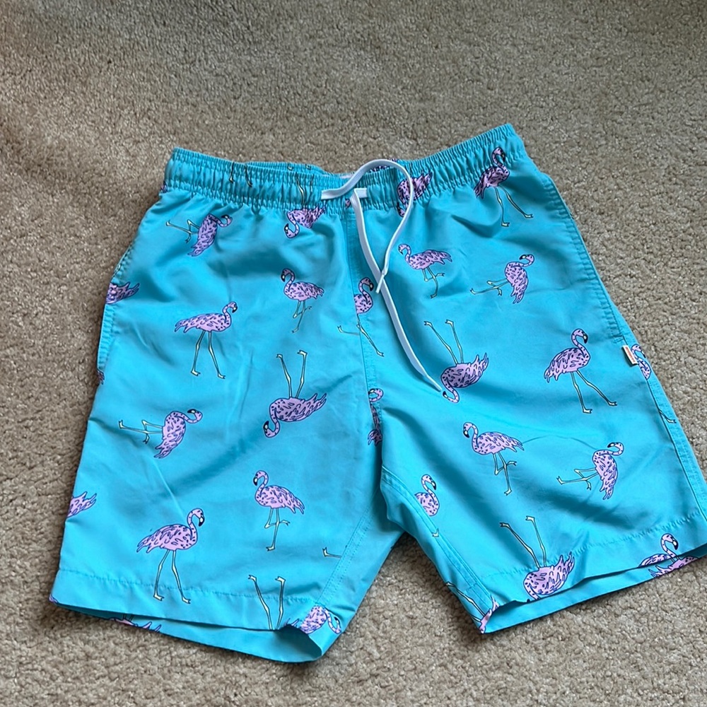 Pacsun swim shorts
